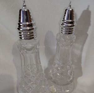 Elegant Silver and Clear Salt and Pepper Shakers